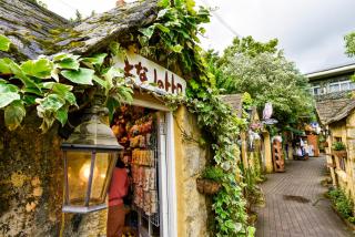 YUFUIN FLORAL VILLAGE HOTEL - Yufu - 5