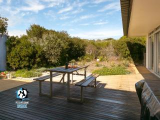Architect Designed House Nestled in the Dunes - Goolwa South - 4