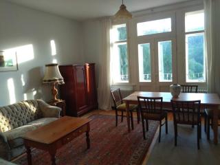 Haus Susemihl - Bad Sachsa - 5