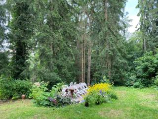 Haus Susemihl - Bad Sachsa - 3