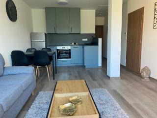 Černá Růže- Apartmán 5 - Plzeň - 5