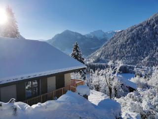 Chalet Domisiladoré - chalet haut de gamme pour 10 adultes et 2 enfants à Châtel - Châtel - 9
