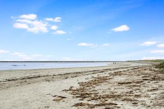 Swainson on Gulf Point - 5