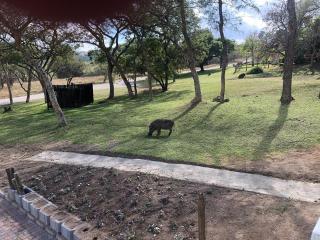 Khululeka Safaris Lodge - 8