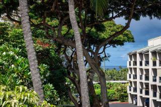 Kailua Bay Resort 4-206 Corner Oceanview Downtown Unit - Kailua-Kona - 9