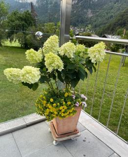 Rosis Ferienwohnung - 2