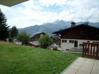 Appartement 3 pièces, terrasse Sud-Ouest, à 100m des pistes, 6 couchages, village à 500m, garage inclus - FR-1-733-3 - Crest-Voland - 2