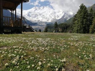 Nanga Parbat View Hotel - Tato - 4