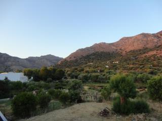 Pavlos Rooms - Livadia - 8