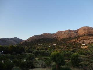 Pavlos Rooms - Livadia - 7