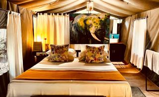 Mahoora Wilpattu - by Eco Team - 9