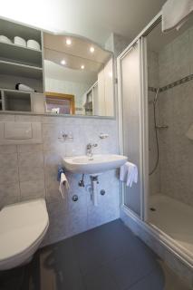 Alpina Boutique Hotel Interlaken - Ringgenberg - Adults only ! - 8
