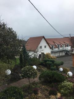 Au parfum des roses - 9