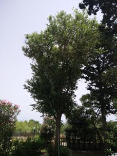 Casa di Costa - Costa Rei - 6