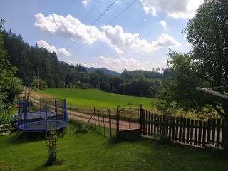 Apartmán u lesa u Adršpachu - Jívka - 2