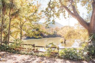 Picardie Guest Farm - Paarl - 9