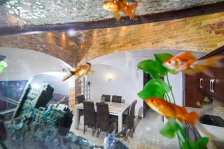 Family Villa Shs Fira Santorini - Fira - 9