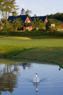 Forbes of Kingennie - Dundee - 9