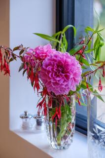 Mission Lodge - Thorpeness - 4