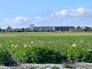 Blossombed - Voorhout - 1