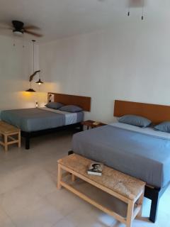 jungle lodge - Cancún - 0