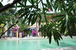 Villa Bali - Cassis - 7