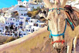 Deluxe Santorini Villa 1 Bedroom Villa Cherished View Private Pool Sea View Fira - Fira - 2
