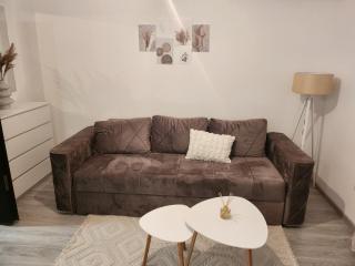 Apartman Jokovic - Kiseljevo - 1