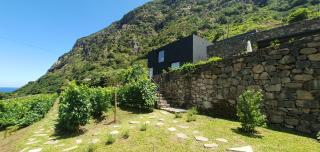 Terrabona Nature & Vineyards - Boaventura - 5