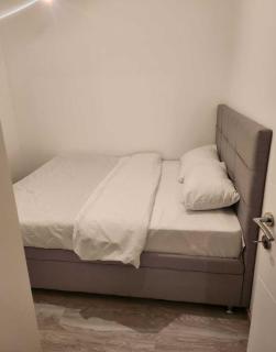 Apartman Jokovic - Kiseljevo - 4