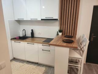 Apartman Jokovic - Kiseljevo - 7