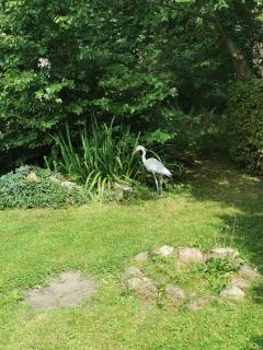 Pension zum Park - 2