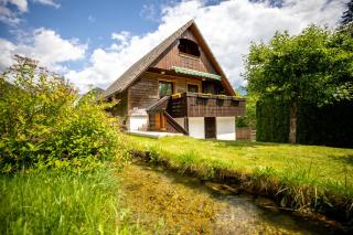 Apartma Metka - Bohinj - 0