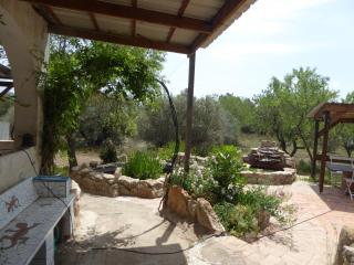 Mas Blauet - Finca with 2 holiday houses and shared pool - Rasquera - 4