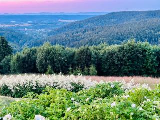 Apartamenty InnWersja - 4