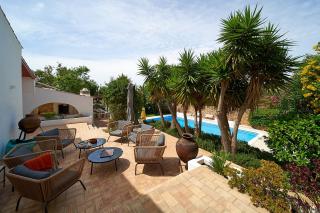 Casa Palmeira - magically beautiful villa with private pool, great beaches nearby - 8