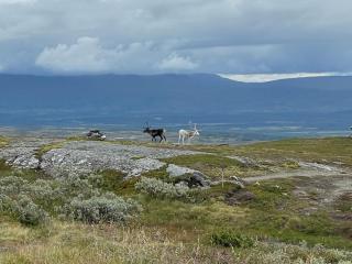 Storlien Högfjällshotell AB - 1