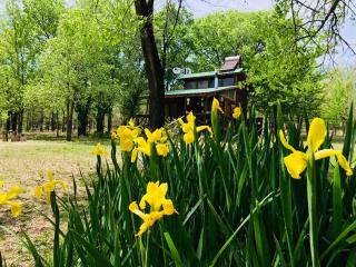 NOMADE cabin rent - San Antonio de Arredondo - 9