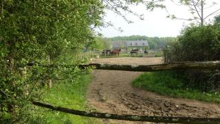 La Petite Lande - Ménil - 8