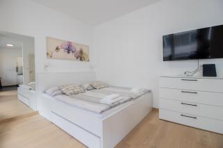 Stay Inn Apartments Krakovska - Prague - 1