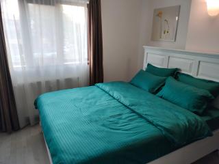 Stefan Apart Iași centru Palas - 3