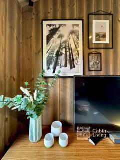 Sjusjøen ski in out, ski storage, Wifi, grill & fireplace, modern apartment! - 5