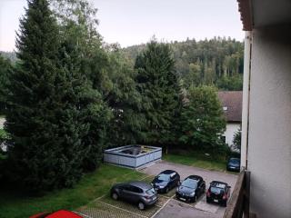 Sonnenkalb - Todtmoos - 2