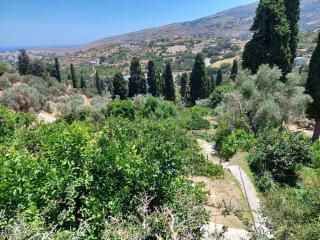 ΚΑΜΑΡΑ - Παραδοσιακό σπίτι σε αγρόκτημα με θέα - Andros - 9