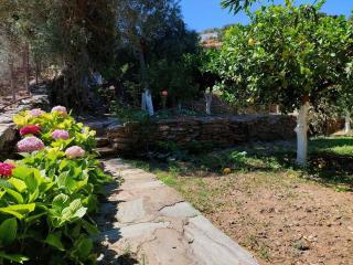 ΚΑΜΑΡΑ - Παραδοσιακό σπίτι σε αγρόκτημα με θέα - Andros - 7