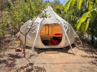 Glamping do Zê - Cernache do Bonjardim - 9