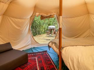 Glamping do Zê - Cernache do Bonjardim - 7