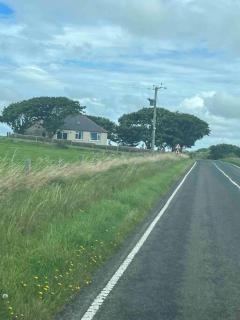 Quina, a newly renovated house. - Orkney - 6