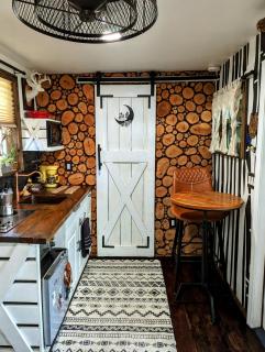 Cozy AF Tiny-House Oasis - Tampa - 7