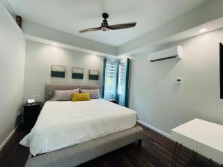 Sonsak - Unit 4 - Charlottesville - 5